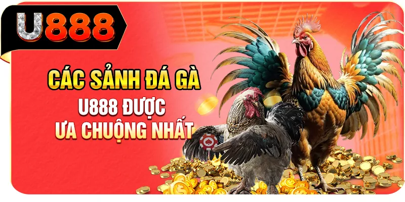 Các sảnh đá gà U888 được ưa chuộng nhất