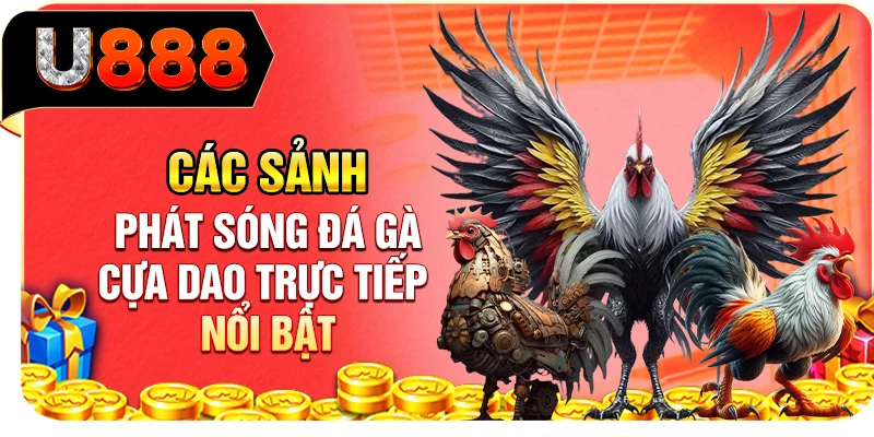 Các sảnh phát sóng đá gà cựa dao trực tiếp nổi bật