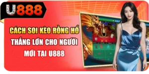 Cách Soi Kèo Rồng Hổ Thắng Lớn Cho Người Mới Tại U888