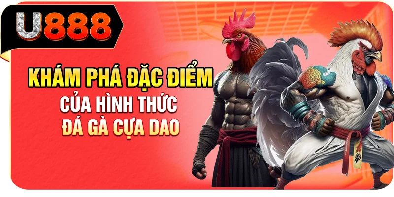 Khám phá đặc điểm của hình thức đá gà cựa dao