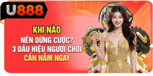 Khi Nào Nên Dừng Cược? 3 Dấu Hiệu Người Chơi Cần Nắm Ngay