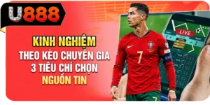 Kinh Nghiệm Theo Kèo Chuyên Gia - 3 Tiêu Chí Chọn Nguồn Tin