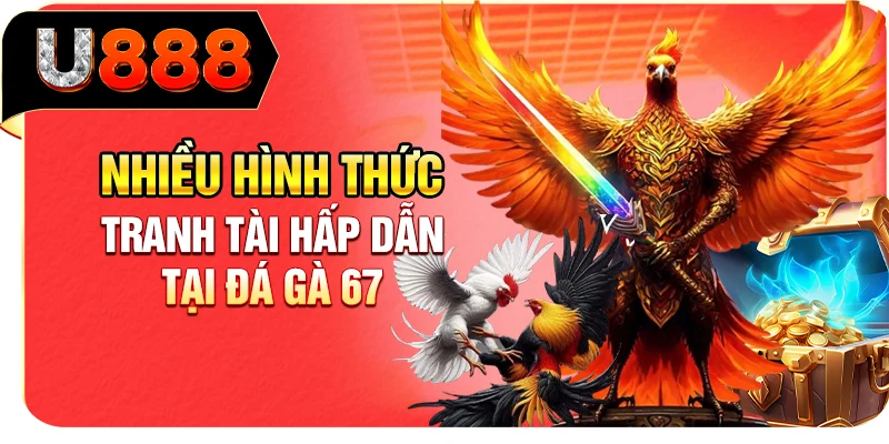 Nhiều hình thức tranh tài hấp dẫn tại đá gà 67