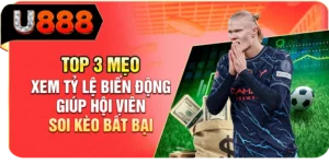 Top 3 Mẹo Xem Tỷ Lệ Biến Động Giúp Hội Viên Soi Kèo Bất Bại