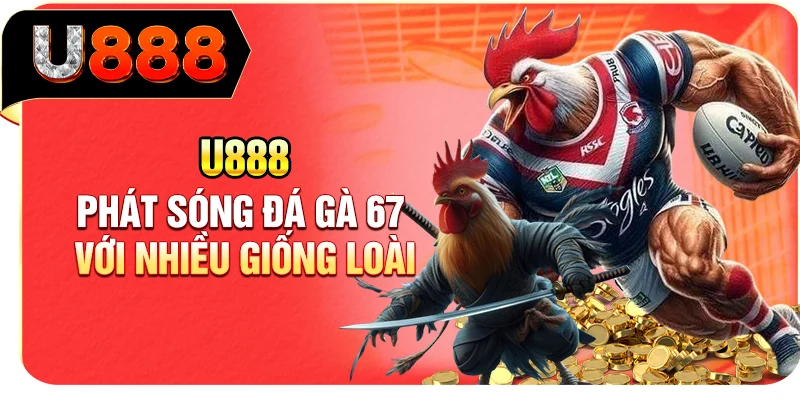 U888 phát sóng đá gà 67 với nhiều giống loài