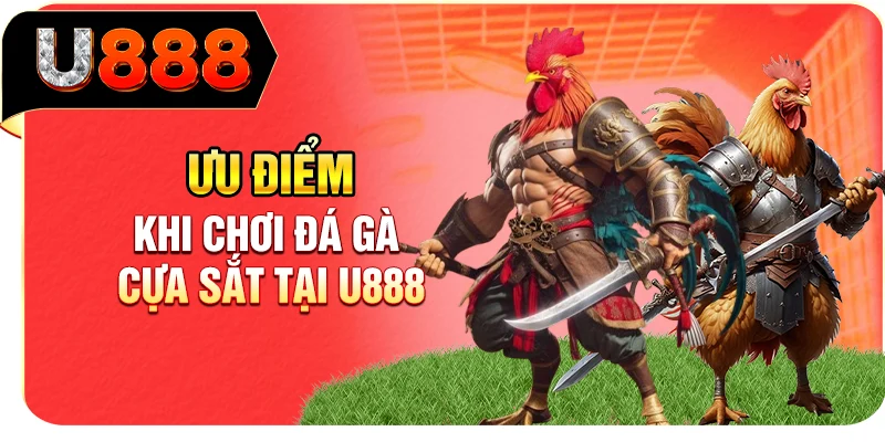 Ưu điểm khi chơi đá gà cựa sắt tại U888